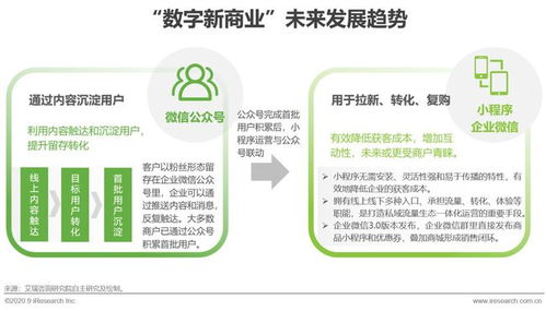 2020年中國(guó)數(shù)字新商業(yè)發(fā)展洞察報(bào)告